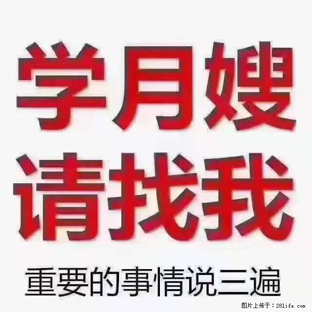 为什么要学习月嫂,育婴师? - 新手上路 - 张家口生活社区 - 张家口28生活网 zjk.28life.com