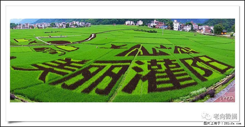 【春天，广西桂林灌阳县向您发出邀请！】开篇 - 游山玩水 - 张家口生活社区 - 张家口28生活网 zjk.28life.com