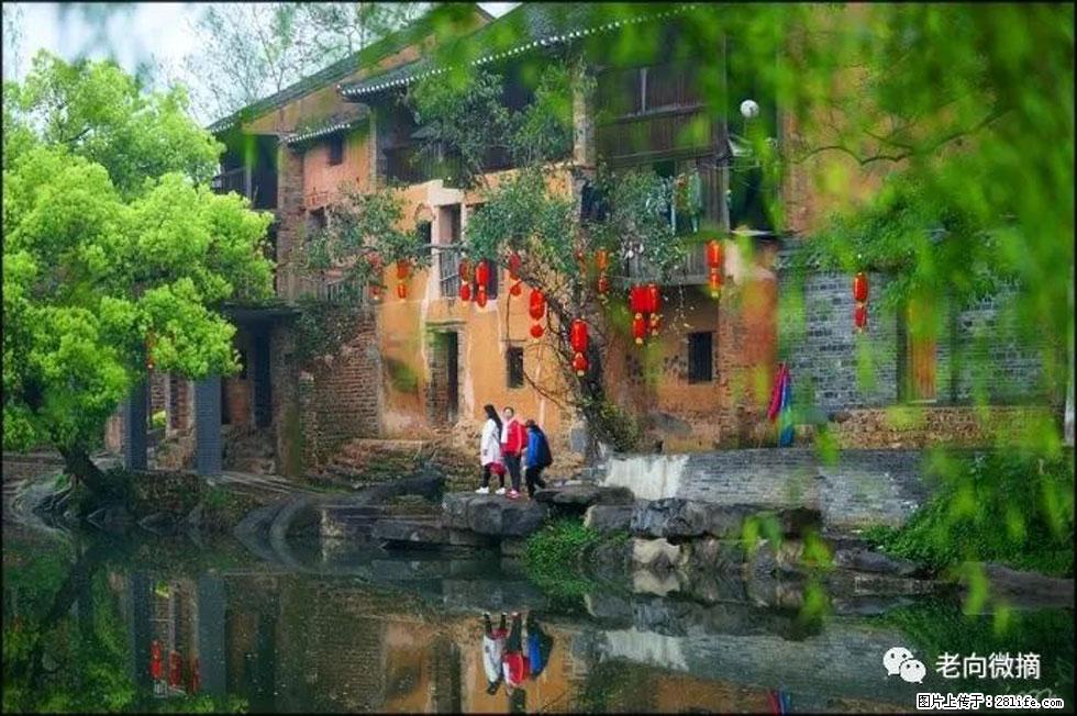 【春天,广西桂林灌阳县向您发出邀请!】江口老街又逢春 - 游山玩水 - 张家口生活社区 - 张家口28生活网 zjk.28life.com