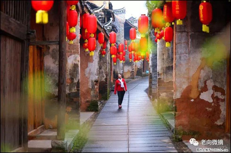 【春天,广西桂林灌阳县向您发出邀请!】江口老街又逢春 - 游山玩水 - 张家口生活社区 - 张家口28生活网 zjk.28life.com