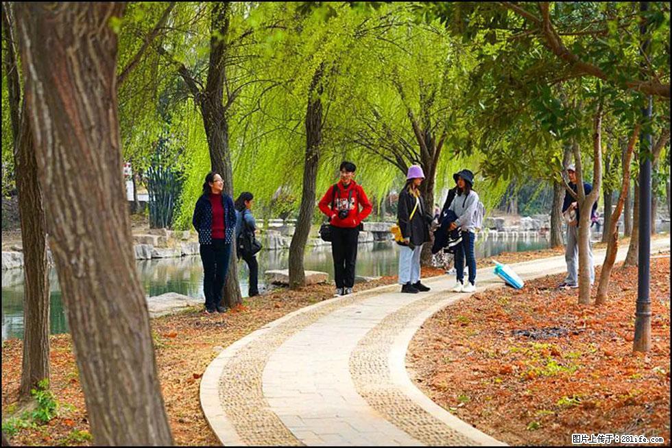 【春天,广西桂林灌阳县向您发出邀请!】江口老街又逢春 - 游山玩水 - 张家口生活社区 - 张家口28生活网 zjk.28life.com