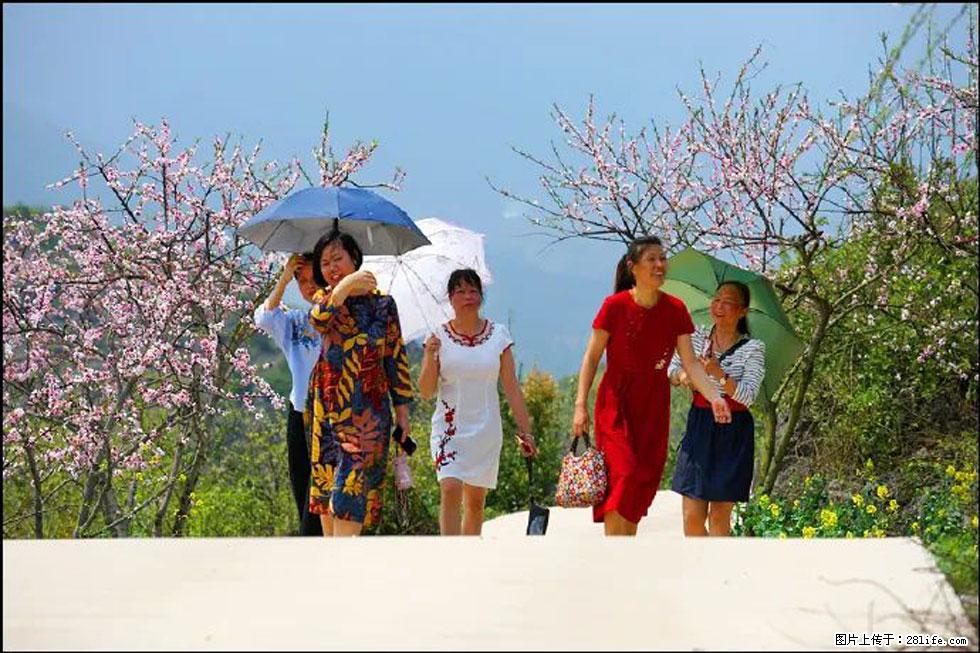 【春天,广西桂林灌阳县向您发出邀请!】望月岭上桃花开 - 游山玩水 - 张家口生活社区 - 张家口28生活网 zjk.28life.com