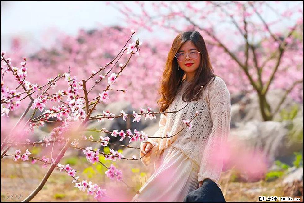 【春天,广西桂林灌阳县向您发出邀请!】望月岭上桃花开 - 游山玩水 - 张家口生活社区 - 张家口28生活网 zjk.28life.com