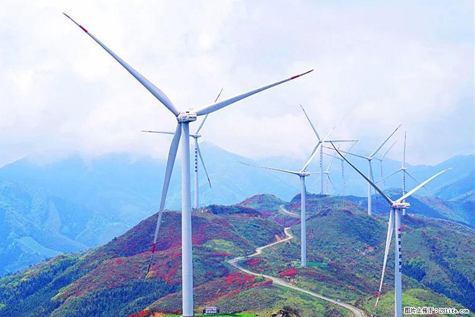 【春天,广西桂林灌阳县向您发出邀请!】春木界上映山红 - 游山玩水 - 张家口生活社区 - 张家口28生活网 zjk.28life.com