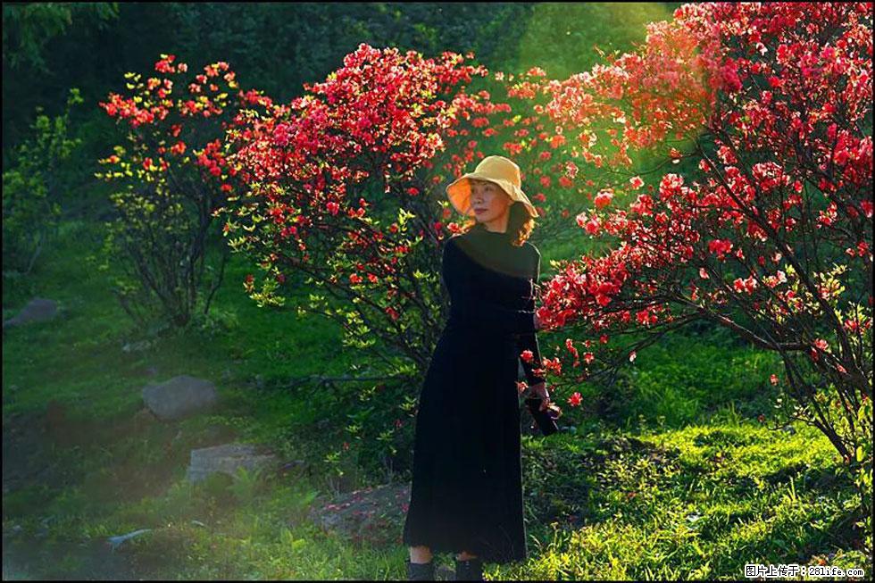 【春天,广西桂林灌阳县向您发出邀请!】春木界上映山红 - 游山玩水 - 张家口生活社区 - 张家口28生活网 zjk.28life.com