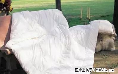 被子有异味?只要这样做,比晒太阳还强100倍! - 家居生活 - 张家口生活社区 - 张家口28生活网 zjk.28life.com