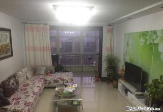 《京广诚荐》桥东区二五一附近天伦嘉苑《正五楼》全家具家电出租 - 张家口28生活网 zjk.28life.com