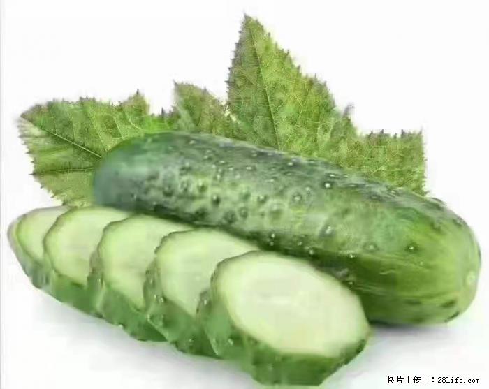 【生活小常识】吃黄瓜的好处 - 生活百科 - 张家口生活社区 - 张家口28生活网 zjk.28life.com