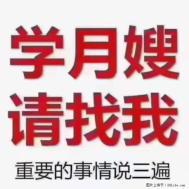 【招聘】月嫂,上海徐汇区 - 职场交流 - 张家口生活社区 - 张家口28生活网 zjk.28life.com