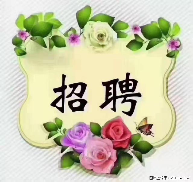 【招聘】住家育儿嫂，上户日期：4月4日，工作地址：上海 黄浦区 - 职场交流 - 张家口生活社区 - 张家口28生活网 zjk.28life.com