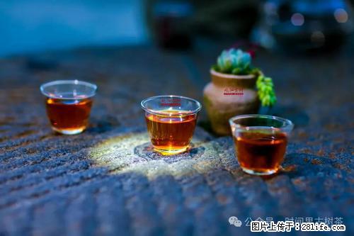 时间果百年古树2025年春红茶 - 购物交流 - 张家口生活社区 - 张家口28生活网 zjk.28life.com