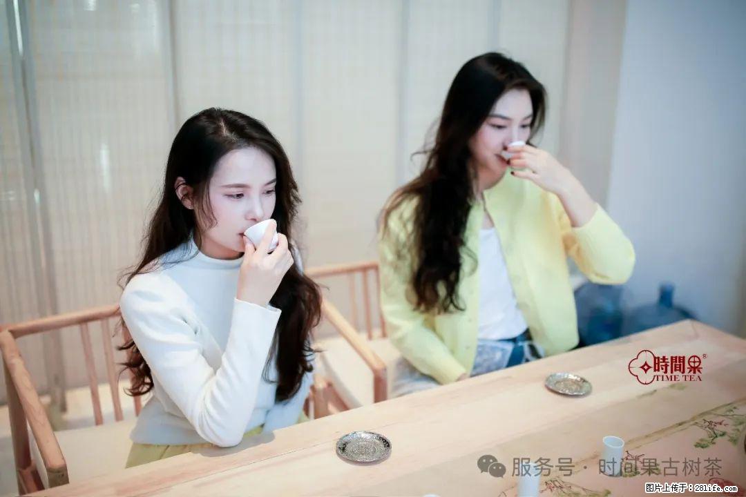 时间果百年古树龙珠普洱生茶 - 购物交流 - 张家口生活社区 - 张家口28生活网 zjk.28life.com