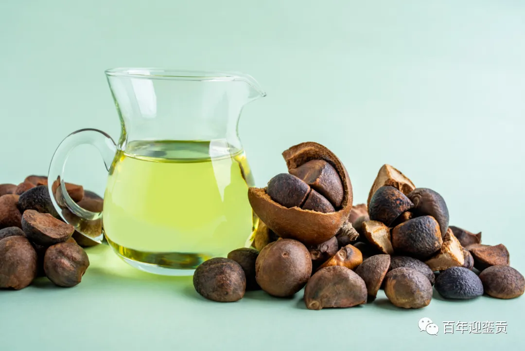 世界没有真相,只有认知,最好的食用油是中国的山茶油! - 张家口生活资讯 - 张家口28生活网 zjk.28life.com