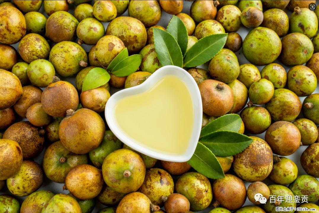 世界没有真相,只有认知,最好的食用油是中国的山茶油! - 张家口生活资讯 - 张家口28生活网 zjk.28life.com