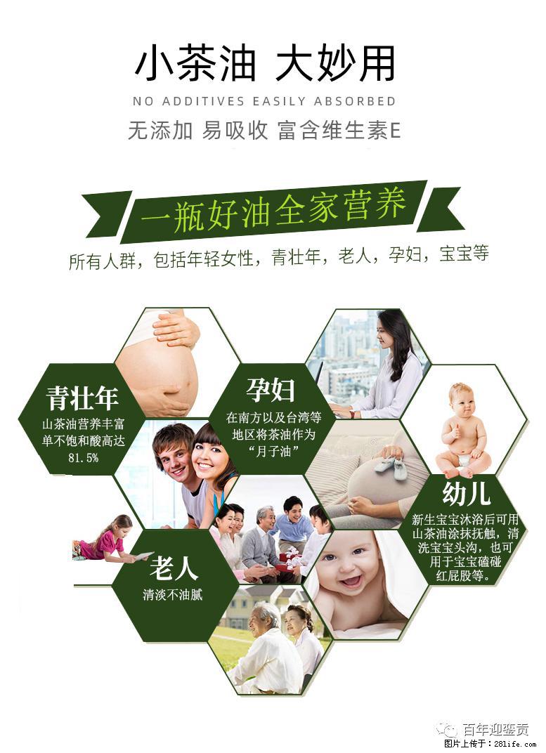 世界没有真相,只有认知,最好的食用油是中国的山茶油! - 张家口生活资讯 - 张家口28生活网 zjk.28life.com