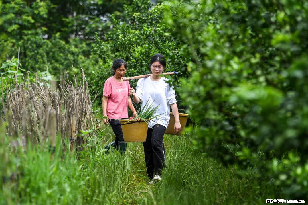 全网追的“扁担女孩”,找了一份暑假工,时薪12元 - 张家口生活资讯 - 张家口28生活网 zjk.28life.com