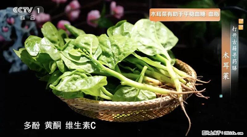 比牛奶补钙还厉害!凉血解毒、稳血糖...这菜冬天必吃,很多人却当草 - 张家口生活资讯 - 张家口28生活网 zjk.28life.com