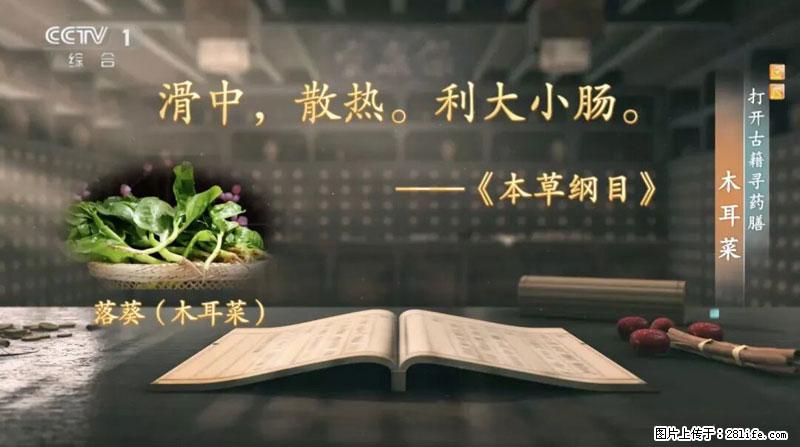 比牛奶补钙还厉害!凉血解毒、稳血糖...这菜冬天必吃,很多人却当草 - 张家口生活资讯 - 张家口28生活网 zjk.28life.com