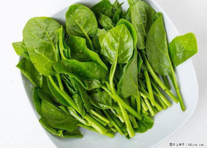 这些蔬菜是“天然钙片”，这6种被医生重点推荐 - 张家口生活资讯 - 张家口28生活网 zjk.28life.com