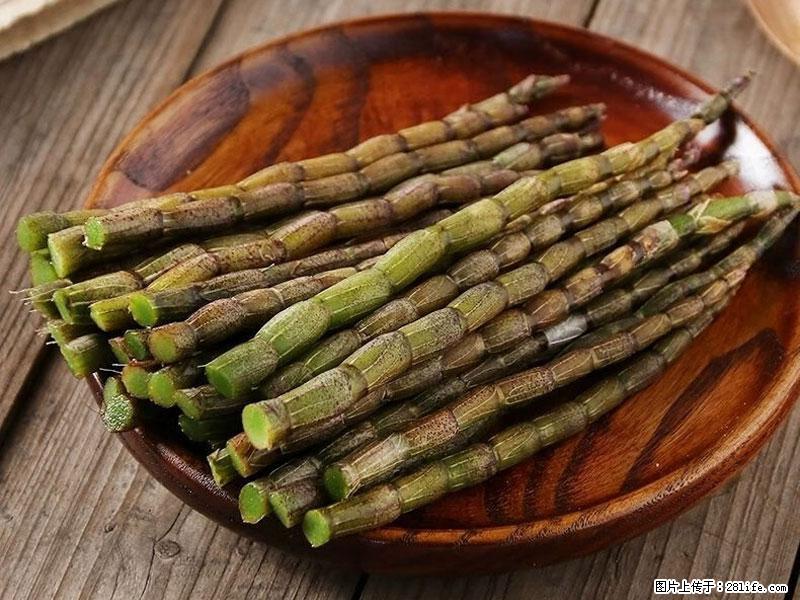 铁皮石斛的作用与功能主治 - 张家口生活资讯 - 张家口28生活网 zjk.28life.com