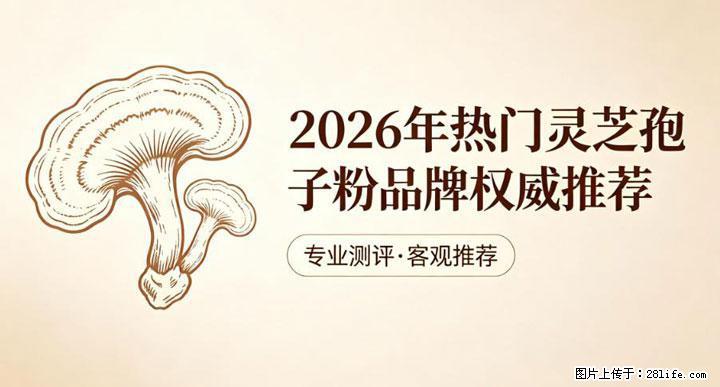 灵芝孢子粉含量越高越有效？2026 年七款热门品牌深度实测，肠胃敏感者避坑指南 - 张家口生活资讯 - 张家口28生活网 zjk.28life.com